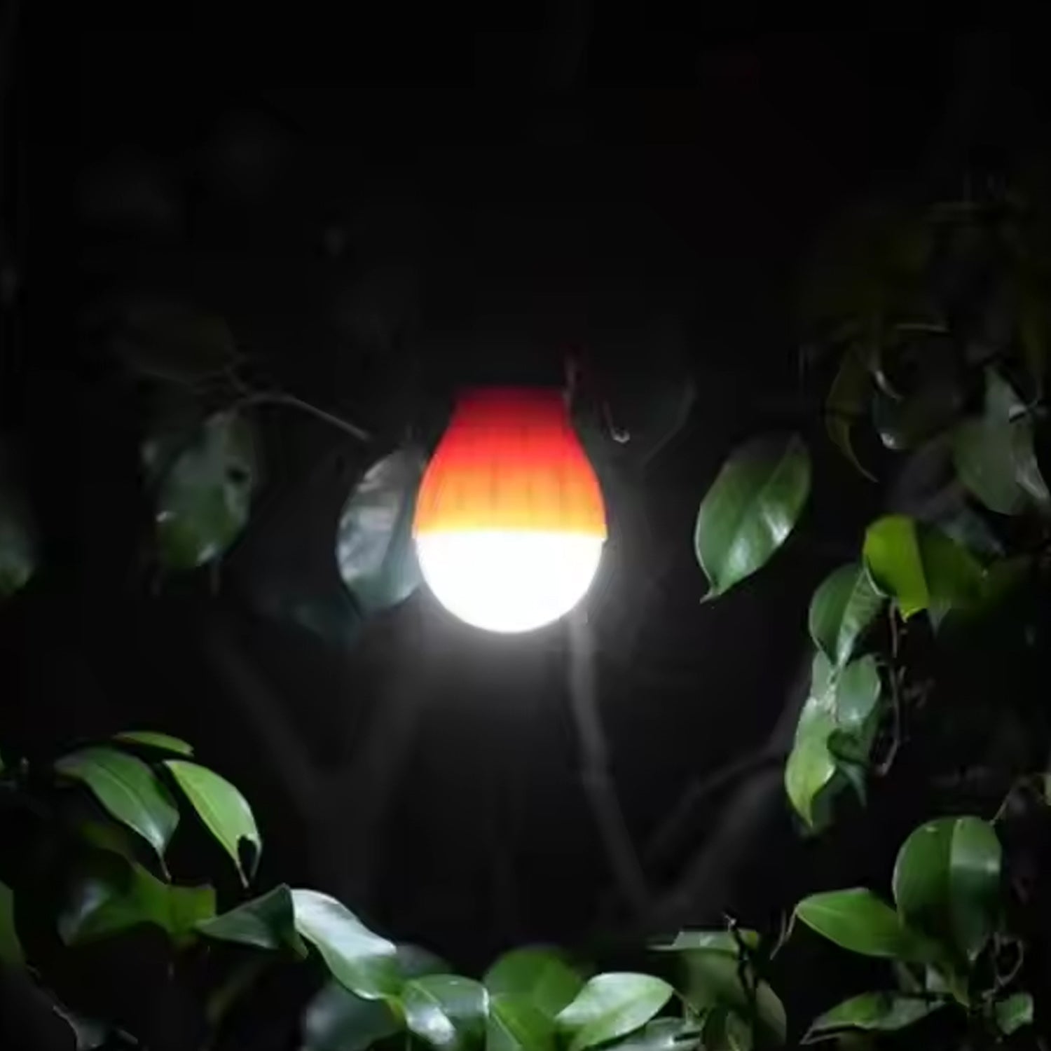 AquaLite Lantern