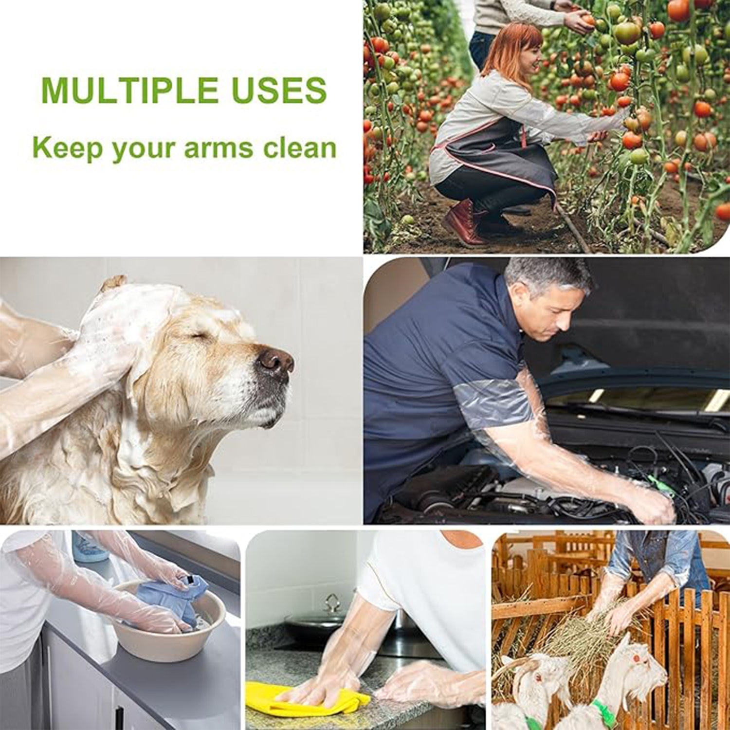 Food Safe Prep Gloves